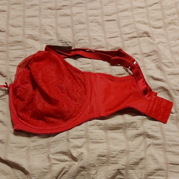 Wacoal Scarlet Lace Bra - Picture 5 of 7